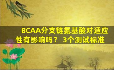 BCAA分支链氨基酸对适应性有影响吗？ 3个测试标准